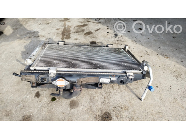 Панель радиаторов (телевизор)