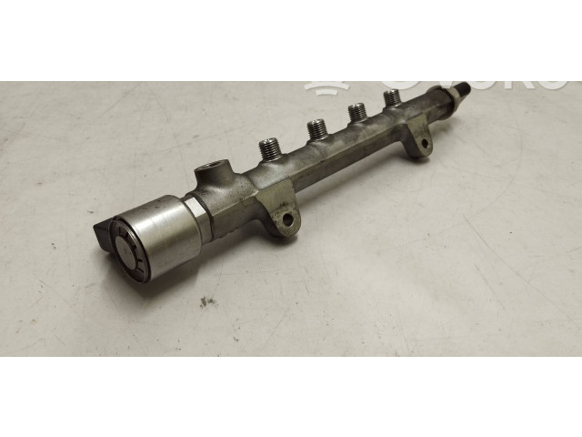 Топливная рампа A6510700495, A6510700700   Mercedes-Benz E W212  