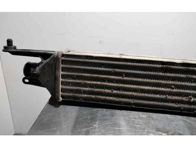 Интеркулер     Fiat Grande Punto 1.2