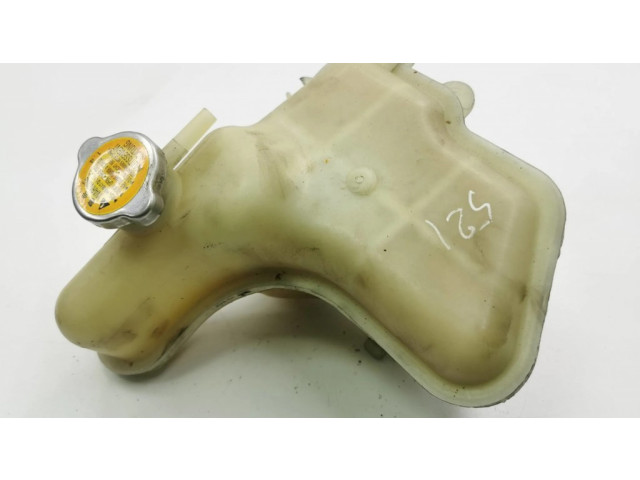 Расширительный бачок охлаждающей жидкости    