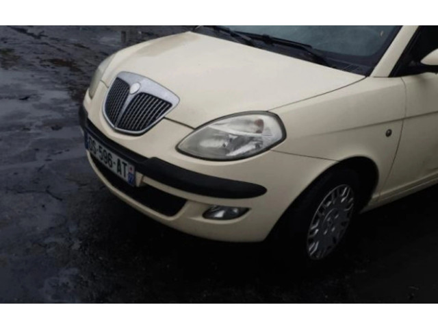 Надувная подушка для крыши    51848464   Lancia Ypsilon