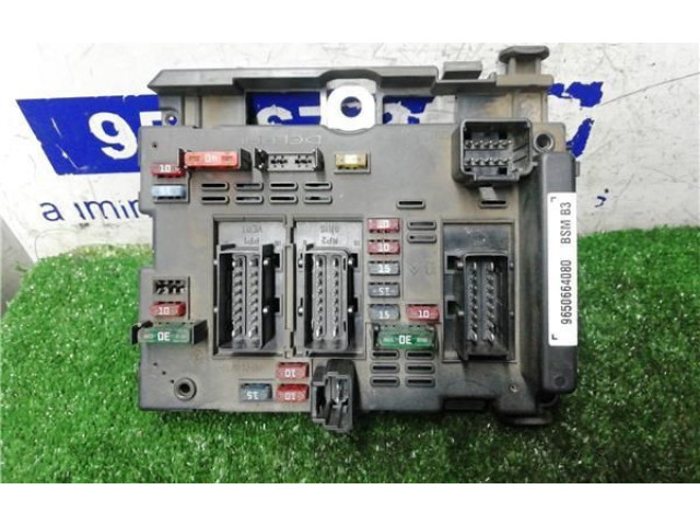 Блок предохранителей 9650664080, 9650664080   Citroen Xsara    