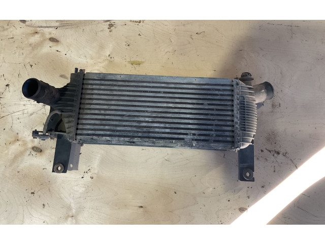 Интеркулер Nissan Pathfinder R51