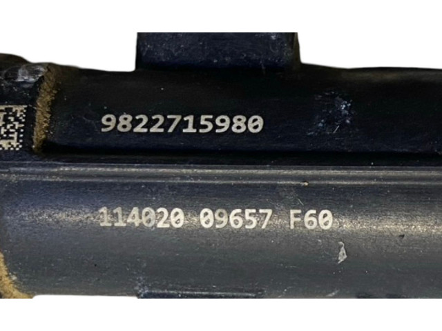 Комплект форсунок 9811353880, 9822715980 Citroen C3 Aircross