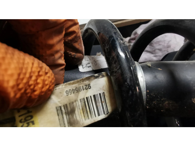 Задний aмортизатор      