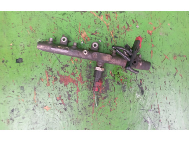 Vstřikovací lišta Peugeot 806