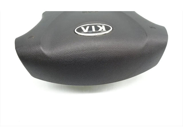 Přístrojová deska KIA Carnival 2009 569004D510, 4D56900040