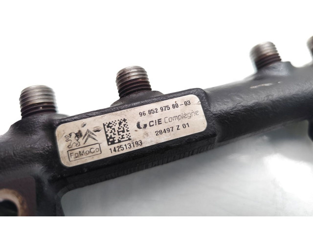 Топливная рампа 9685297580, 142513193   Peugeot Expert   для двигателя 9HM(DV6UC)