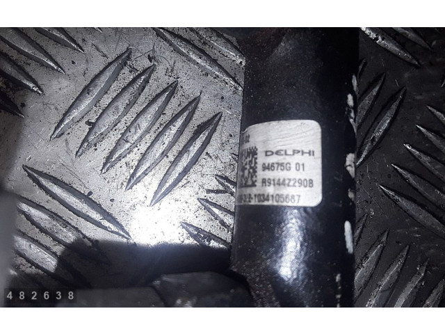 Топливная рампа 94675G01 Citroen C4 II