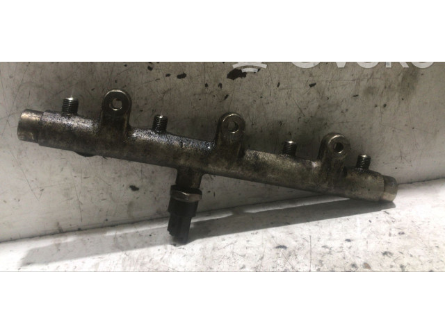 Vstřikovací lišta 0445214019, 0445214019 Peugeot 307