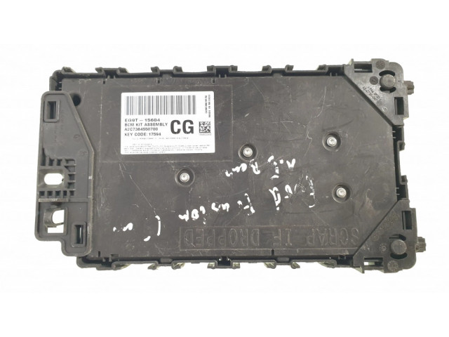 Pojistková skříňka Řídící jednotka BSM EG9T15604, A2C7384550700 Ford Fusion II 2019