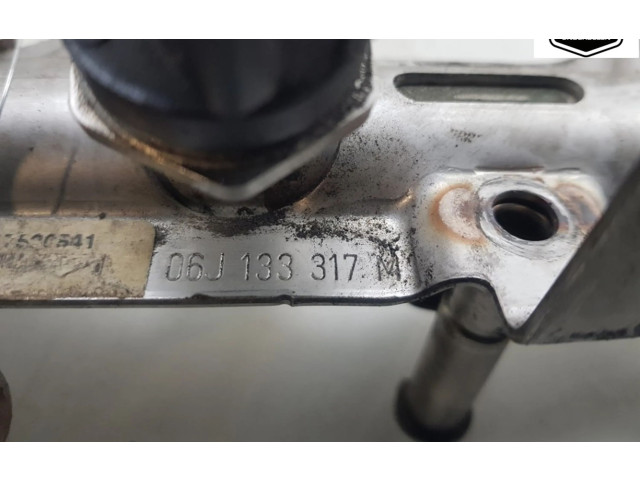 Топливная рампа 06J133317M, 06J133317M Skoda Octavia Mk4 для двигателя CDAA