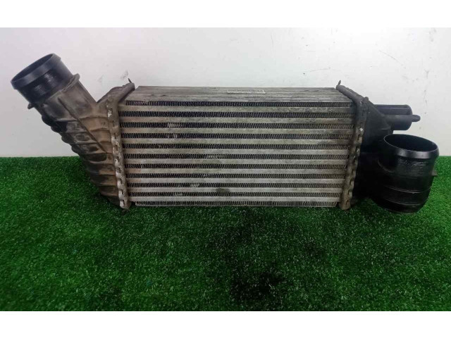 Интеркулер  300X160X80   Peugeot 5008 