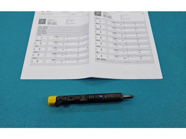 Vstřikovač EJBR04101D, IMPRK1439351 Renault Megane II