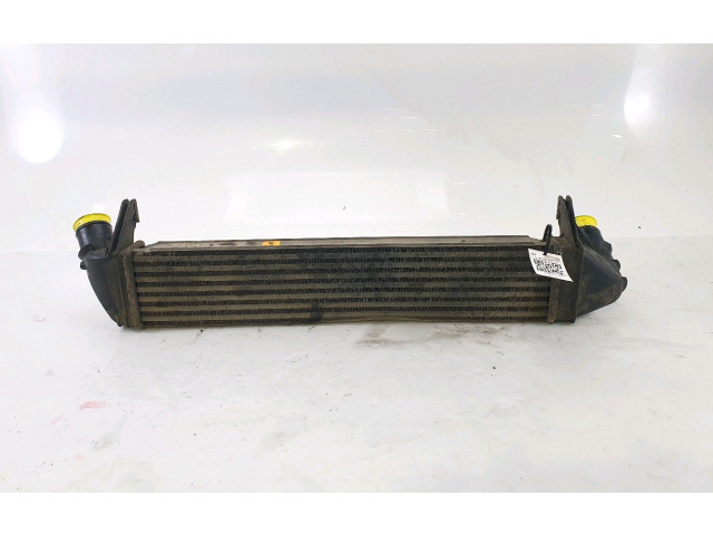 Интеркулер 8200409045, B1-2799E Dacia Duster