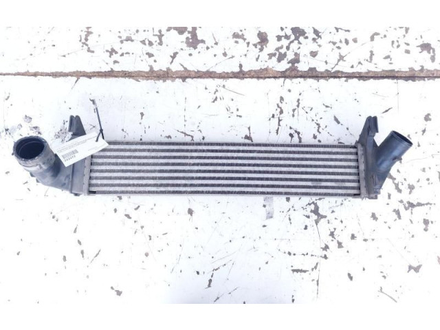 Интеркулер 8200409045A Dacia Logan I