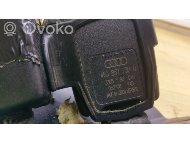 Задняя поясная пряжка