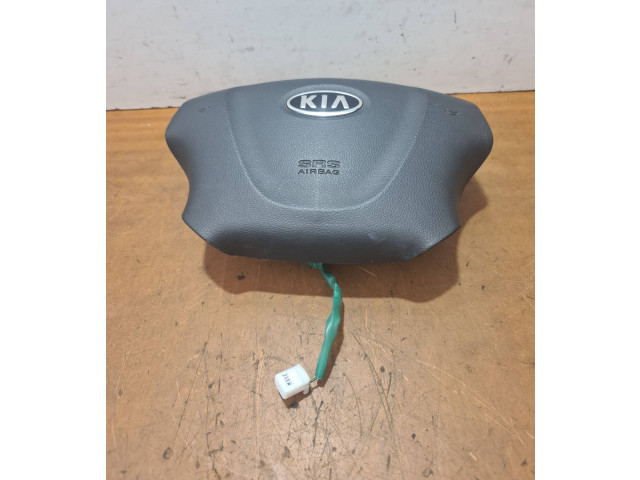 Přístrojová deska KIA Carnival 2009 806102424540