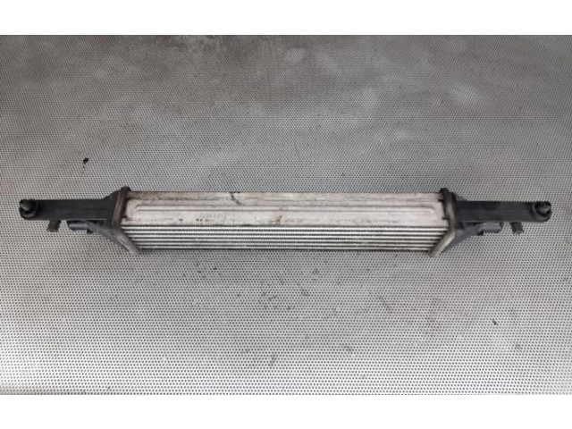 Интеркулер     Fiat Punto Evo 