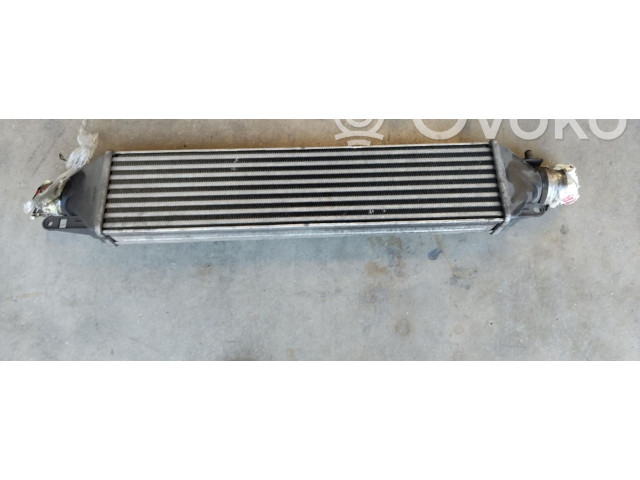 Интеркулер     Fiat Bravo 