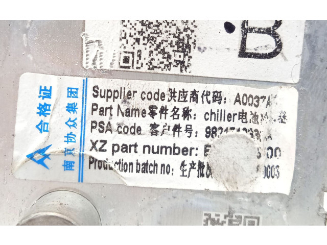 Блок управления 9821712380, EV29035425   Peugeot Partner III