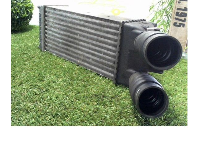 Интеркулер 9645965180, 9645965180 Citroen Xsara Picasso