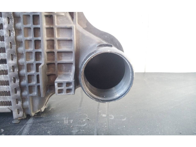 Интеркулер A2515000000004, P2-A11-6 Mercedes-Benz R W251