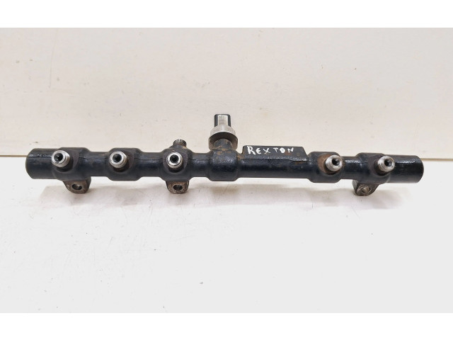 Топливная рампа A6650700295, R9145Z010B   SsangYong Rexton  