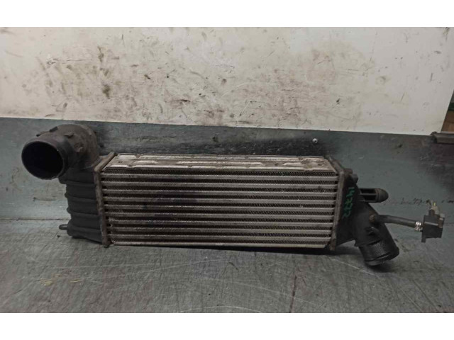 Интеркулер 1489396080, 870229HF Citroen C8