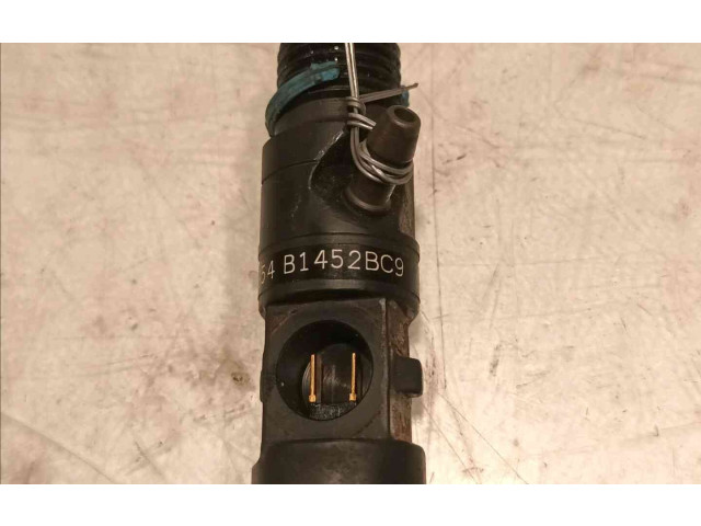 Форсунка 166003978R    Renault Clio II   