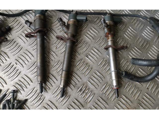 Комплект форсунок 0445110251, 30750283    Volvo S60   