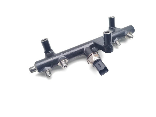 Топливная рампа 9681909680, 28497Z01   Ford Kuga I  