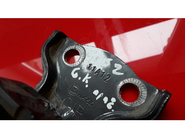 Задняя нижняя петля