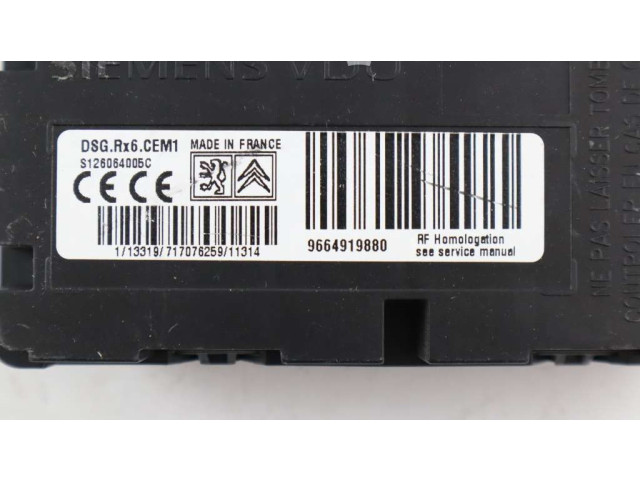 Блок управления S126064005C, 9664919880 Citroen C5