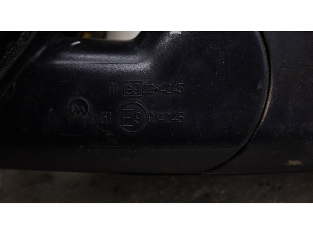 Зеркало (управляемое электричеством) E9024245, E9014245   Skoda Octavia Mk2 (1Z)