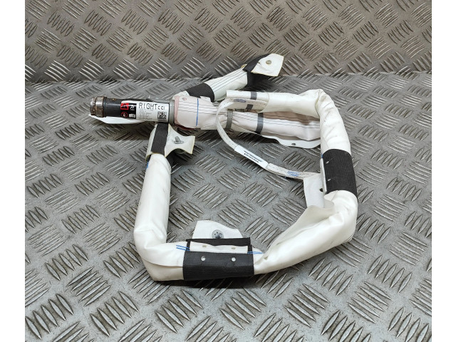 Надувная подушка для крыши 103675900E, 630692600K Tesla Model X L2S