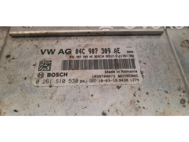 Блок управления двигателем Блок управления 04C907309AE   Skoda Fabia Mk3 (NJ)