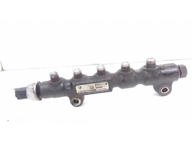 Vstřikovací lišta 9654592680, 9653981180 Citroen C3 pro naftový motor 1.6