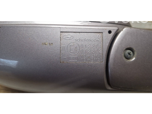 Zpětné zrcátko Hyundai Grandeur 2006 E4012301, E4012302