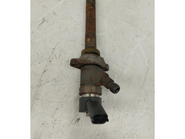 Жиклер (жиклеры) (форсунка (форсунки) 0445110239 Citroen C4 I Picasso