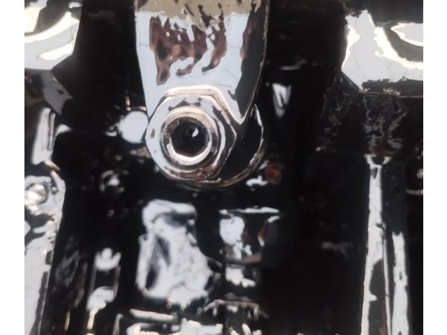 Жиклер (жиклеры) (форсунка (форсунки)       Volkswagen Golf Plus