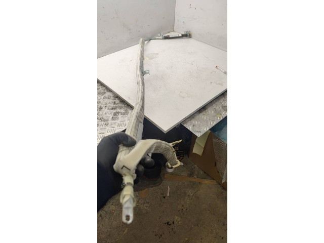 Боковая подушка безопасности 1Z9880741C, BAMPT11215   Skoda Octavia Mk2 (1Z)