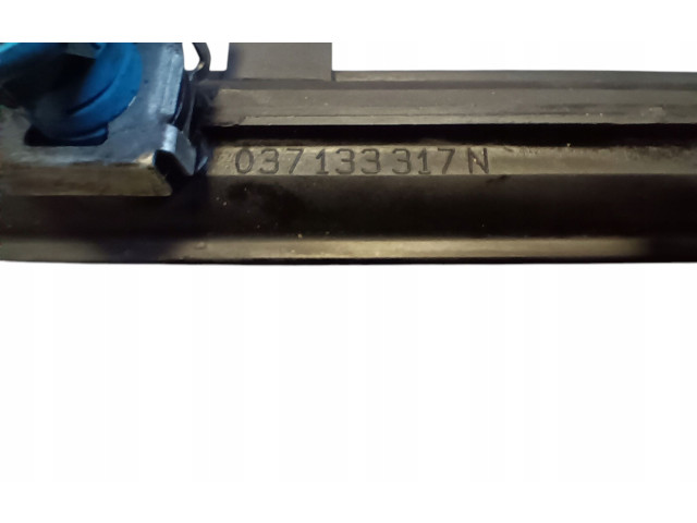 Топливная рампа 037133317N, 03790603IAD   Volkswagen Golf Plus  