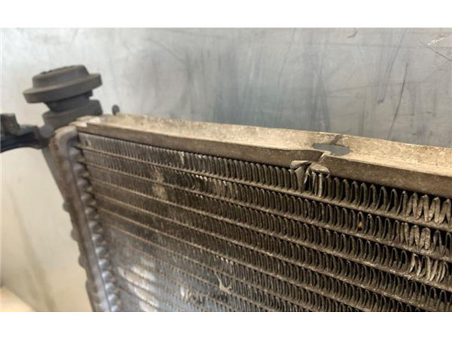 Интеркулер 4999282, 008T16800588 Ford Transit - Tourneo Connect