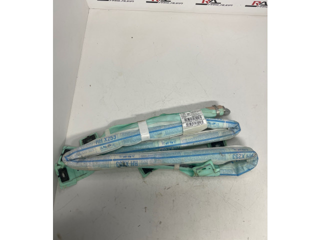 Боковая подушка безопасности 2538603600, 1110637880440 Mercedes-Benz GLC X253 C253