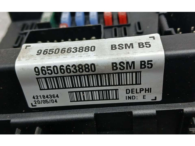 Блок предохранителей 965663880   Peugeot 406    