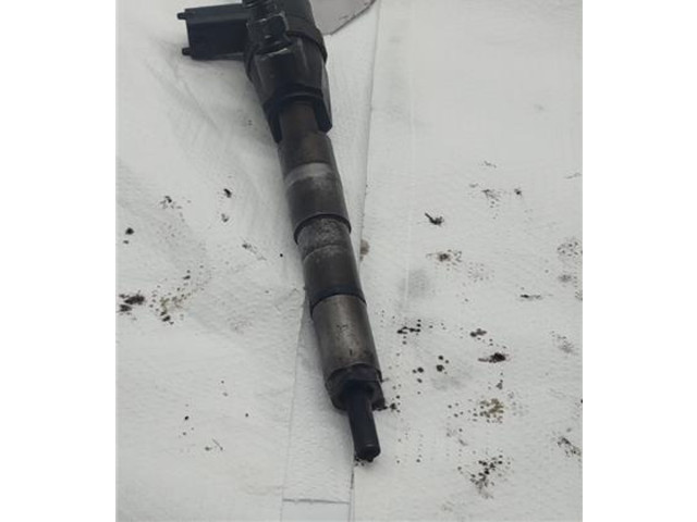 Форсунка 0445110419L0, 0445110419L0    Fiat Freemont  939 B5000 