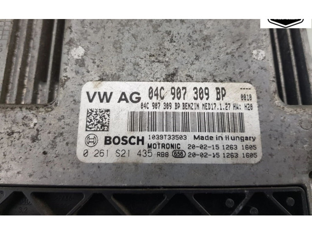 Блок управления двигателя 04C907309BP, 04C907309BP Skoda Fabia Mk3 (NJ)