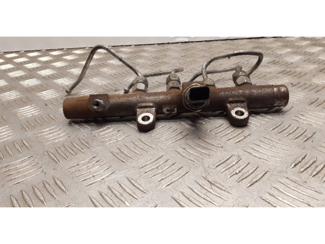 Топливная рампа A2C20001221, H820015617 Renault Scenic III - Grand scenic III для двигателя K9K832