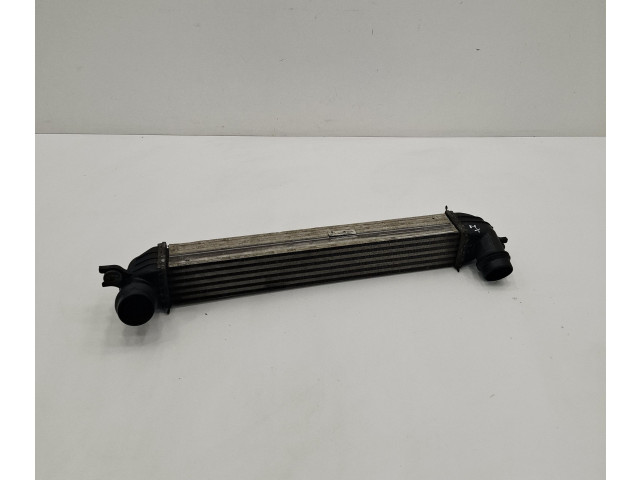 Интеркулер 8506904 Mini Paceman (R61)